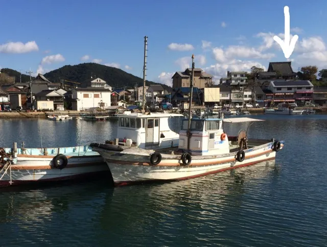 鞆の浦ねこ１