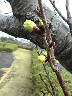 鹿児島宮崎２０