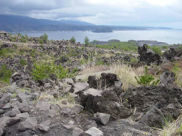 鹿児島宮崎７