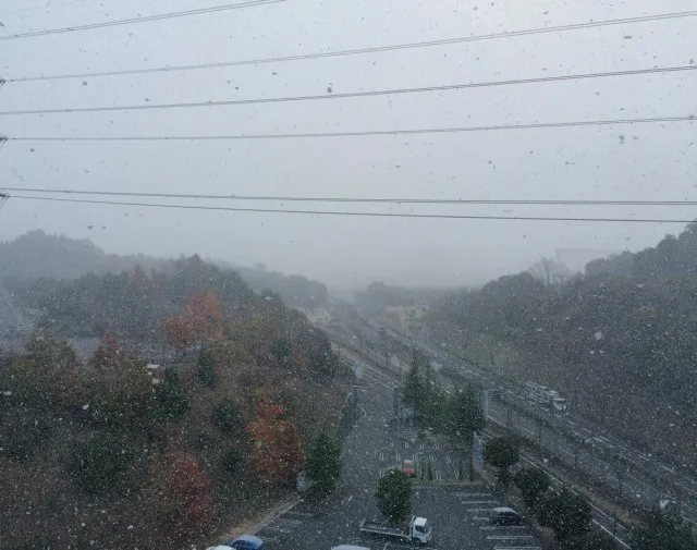 広島市２０１５１１－１