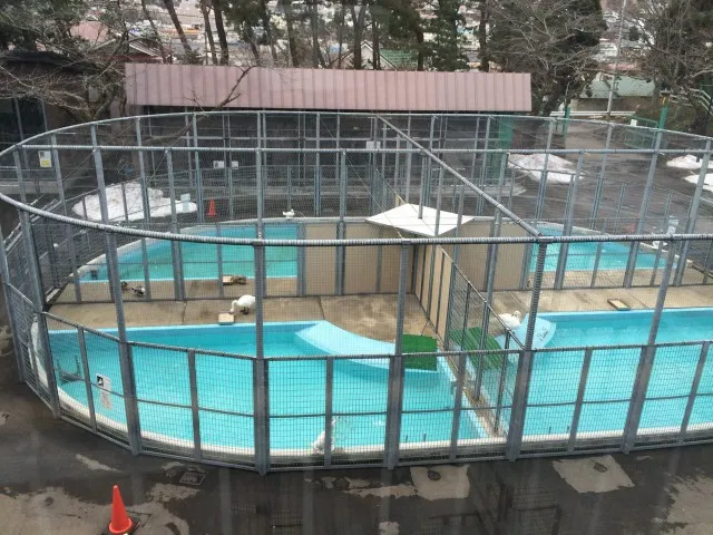 函館公園－４