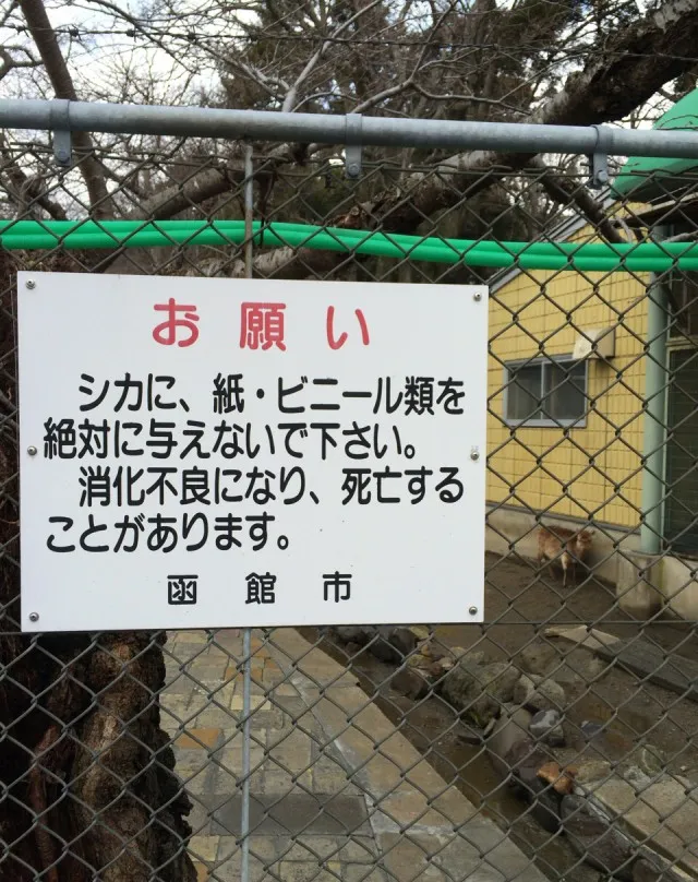 函館公園－１３