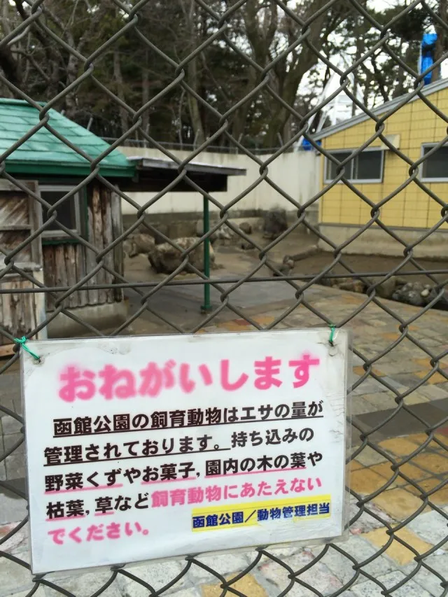 函館公園－１１