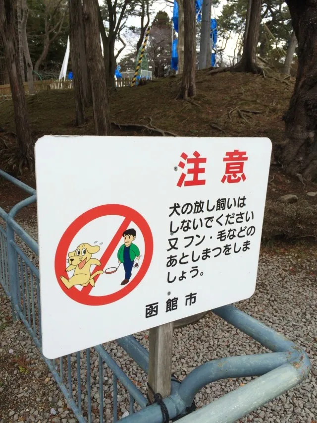 函館公園－２０