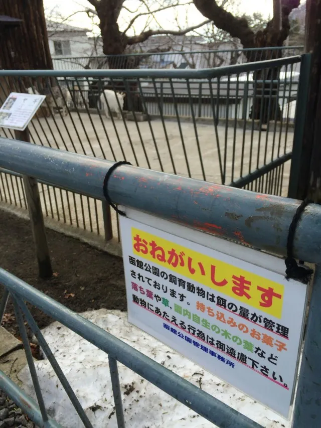 函館公園－１５