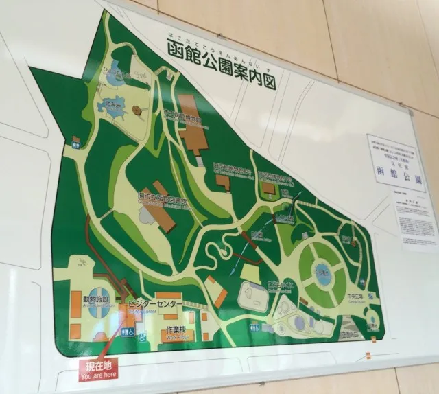 函館公園－２