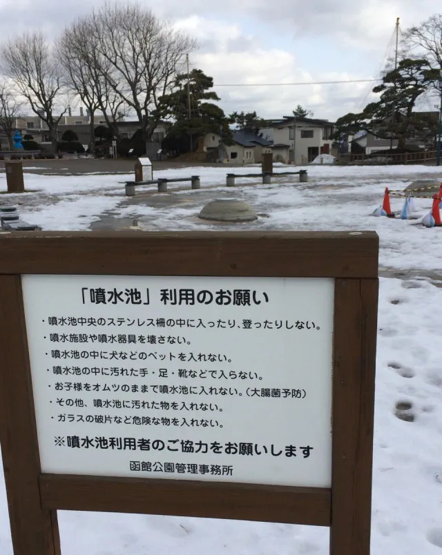 函館公園－８０