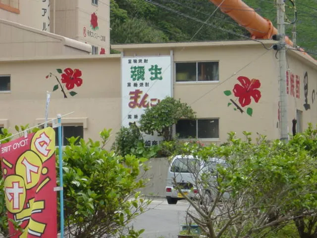 ハイビー６