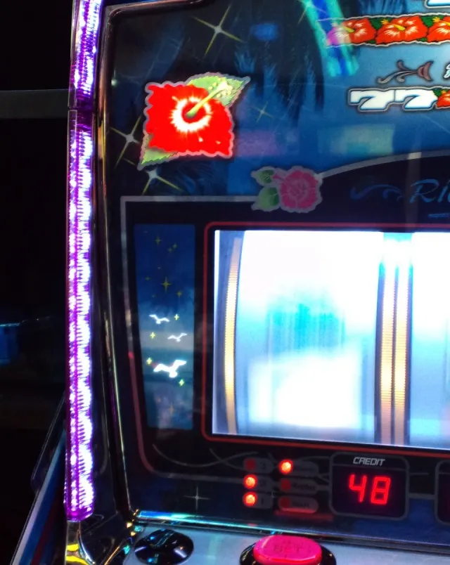 ハイビー９