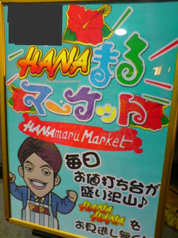 ハイビー１１