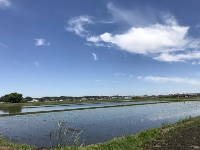 20170620-10