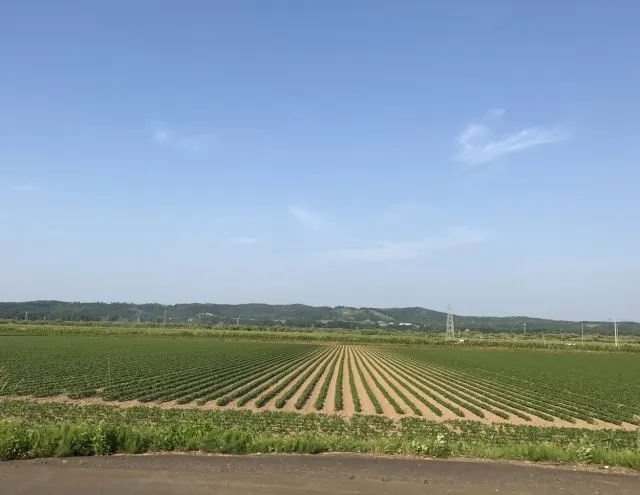 20170817-2