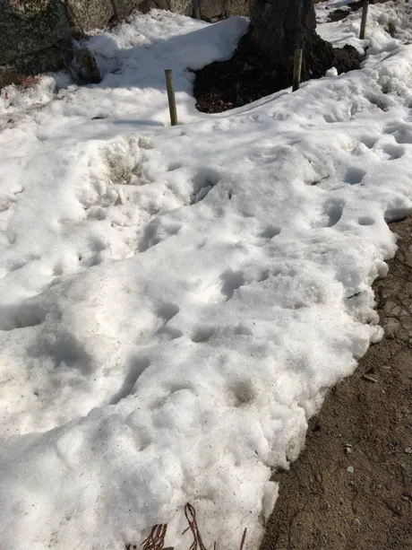 20180410-9
