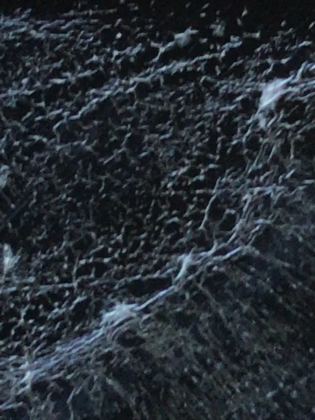20180520-4