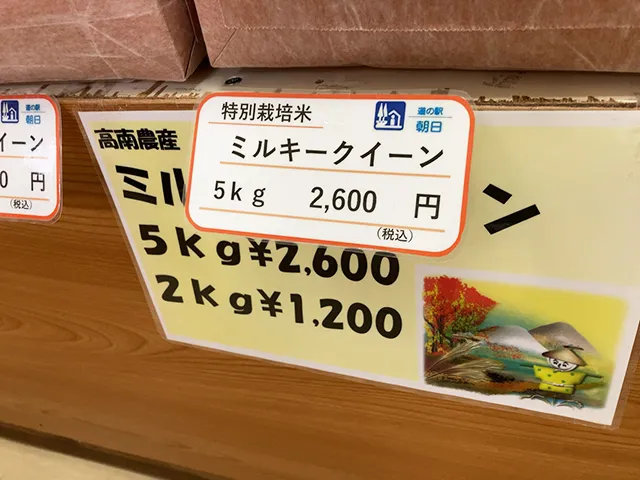 20230216-15