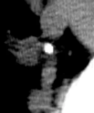 20240630-1
