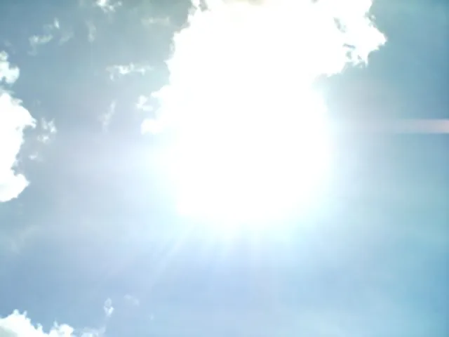 20250202-2