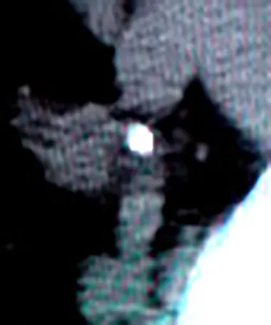 20250826-2