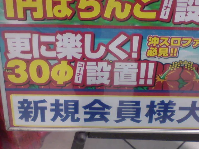 ３０パイ