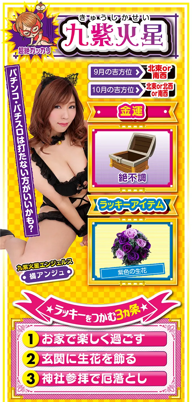 九紫火星占い結果