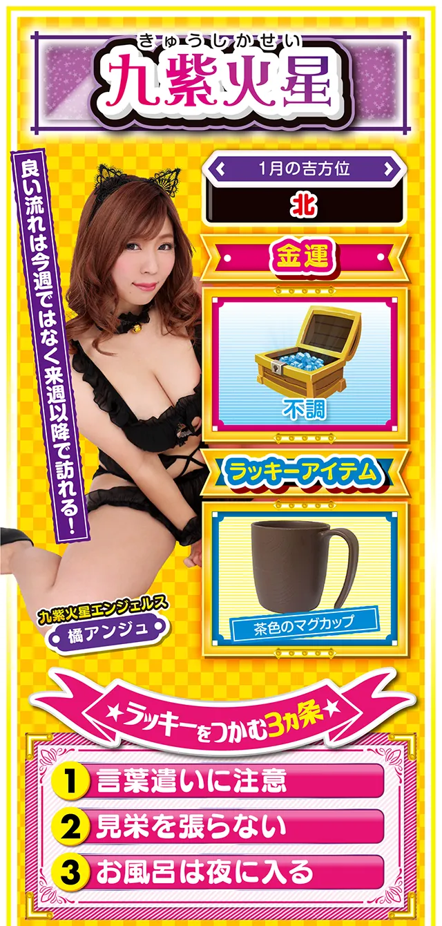 九紫火星占い結果
