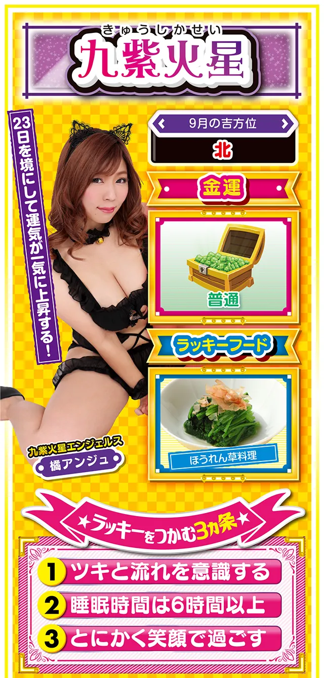 九紫火星占い結果