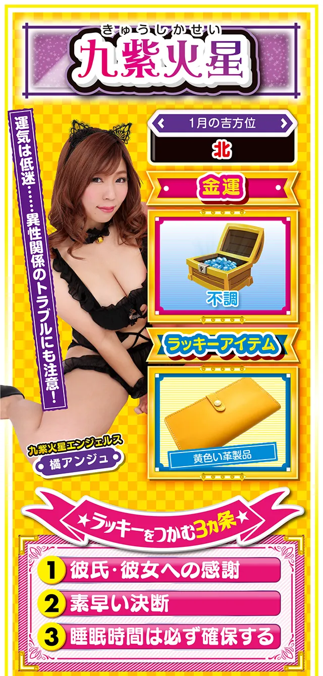 九紫火星占い結果