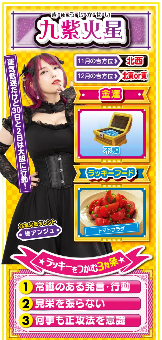 九紫火星占い結果