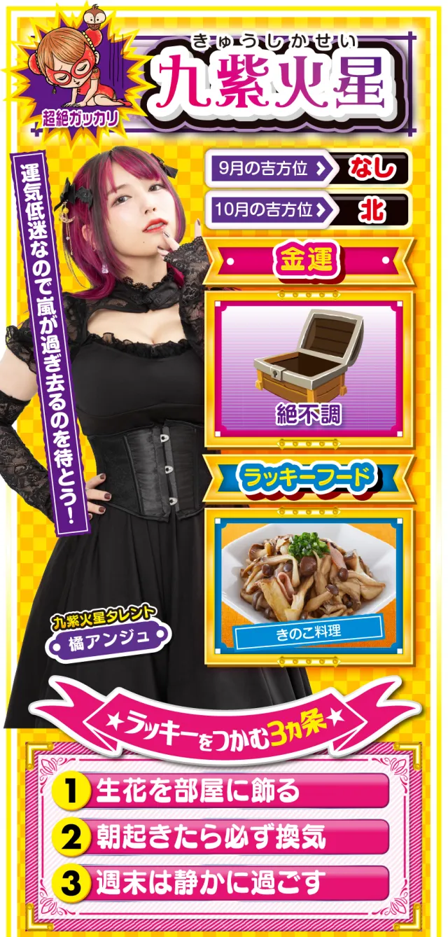 九紫火星占い結果