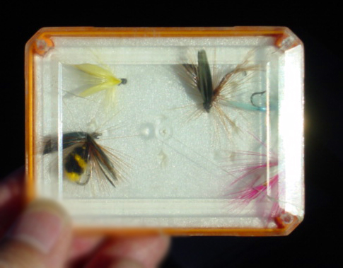 とくしゅ７８－５