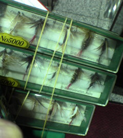 とくしゅ７８－９