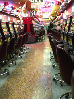 ゴールデンフリッパー１