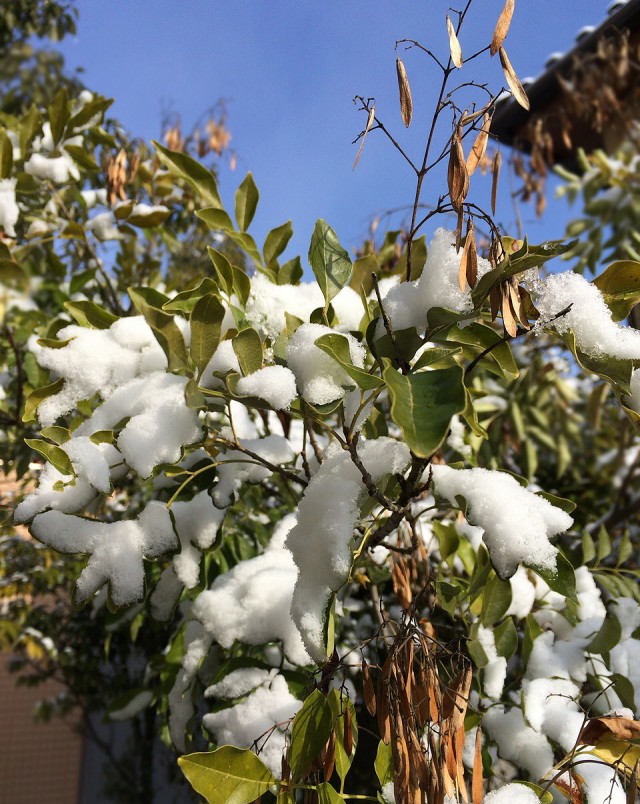 ハナハナ３－３－１