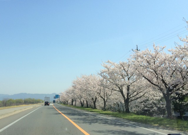 ハナビ十番勝負２－３