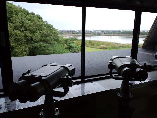 バードウォッチング３