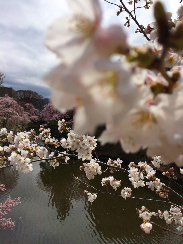 上田ゲッタマ追加