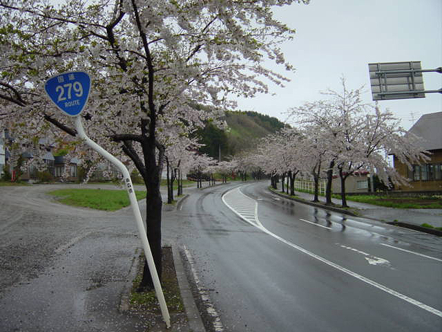 八戸市さくら７