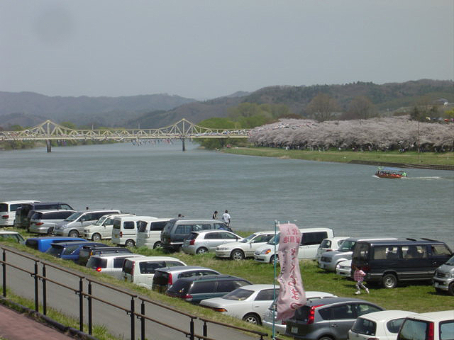 北上秋田さくら１１