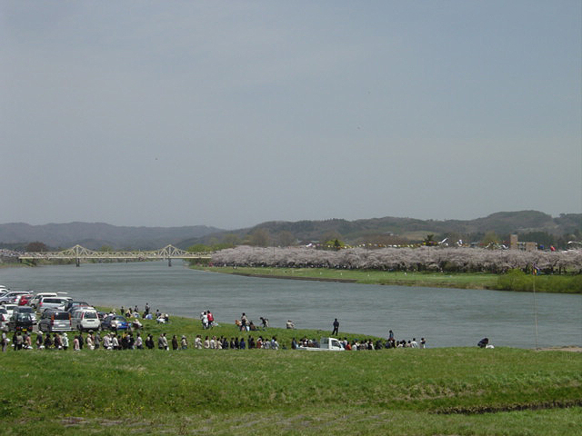 北上秋田さくら１２