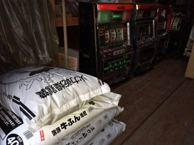 ハナビ十番勝負６２－１１