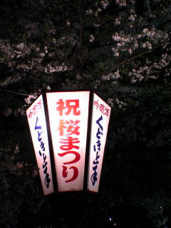 新潟山形さくら１５