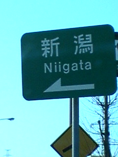 新潟山形さくら１１