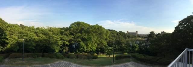大池公園９