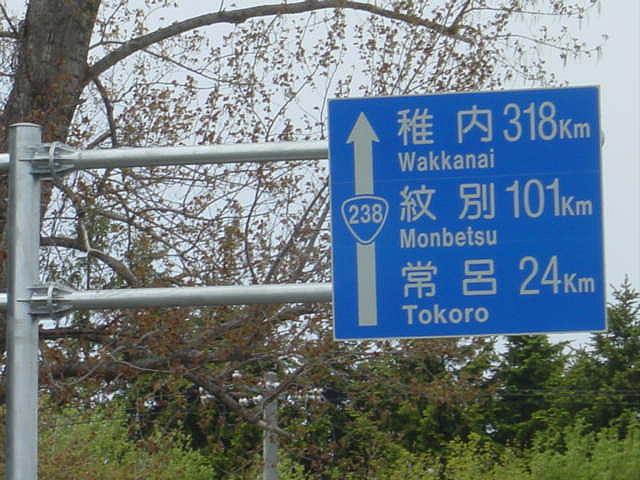 根室市のサクラ６０