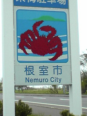 根室市のサクラ１０