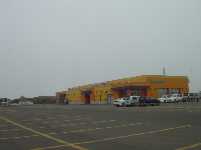 根室市のサクラ２０