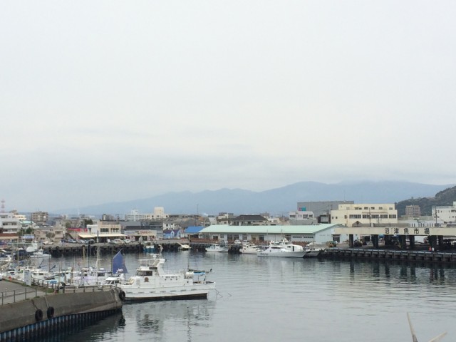 沼津市２０１６０１２１－８