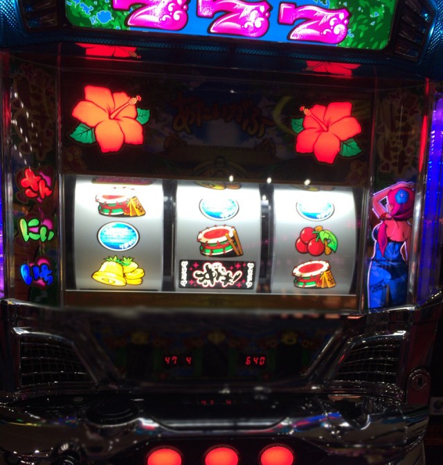 熊本市２０１５１２－１－８