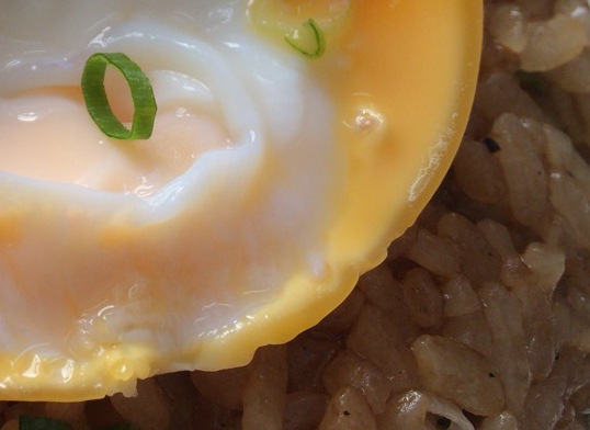 玉野競輪場１４