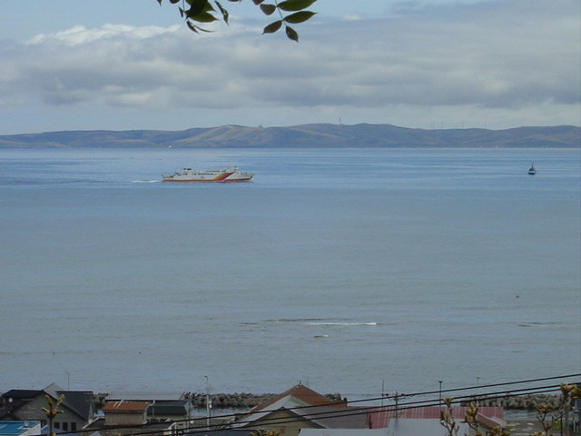 稚内さくら１１